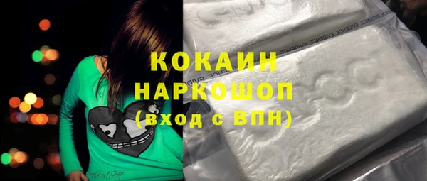 сатива Аркадак