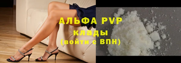 твердый Арсеньев