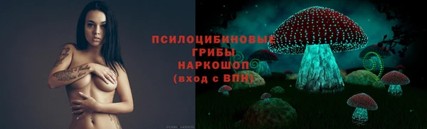 apvp Армянск