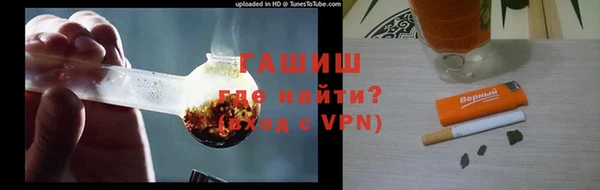 сатива Аркадак