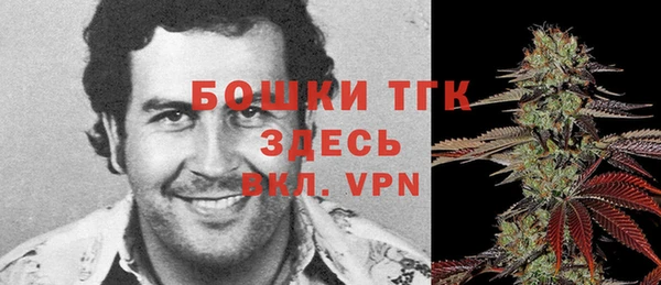 твердый Арсеньев