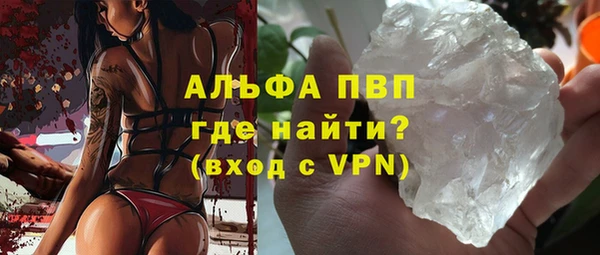 сатива Аркадак