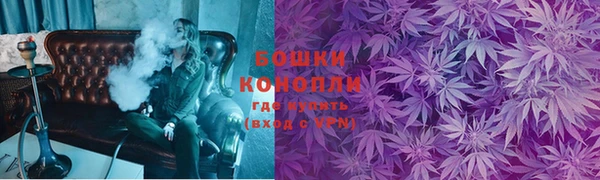 сатива Аркадак