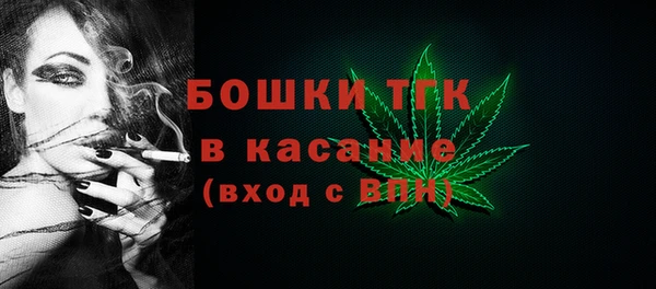 сатива Аркадак
