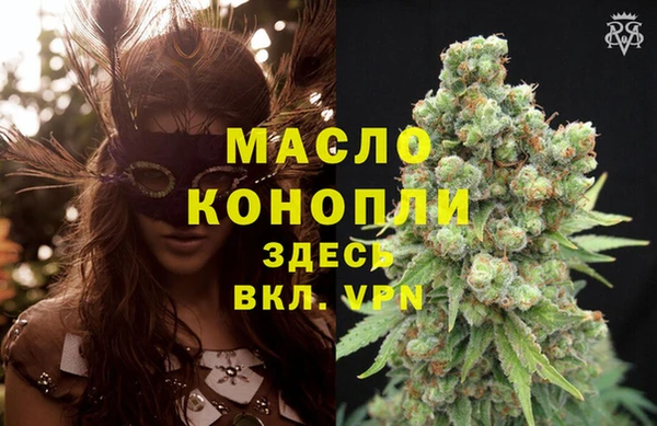 сатива Аркадак